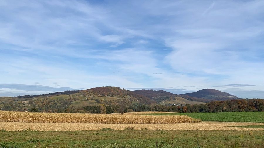 Weinberge bei Ehrenkirchen vor der Vorberglandschaft des Schönbergs
