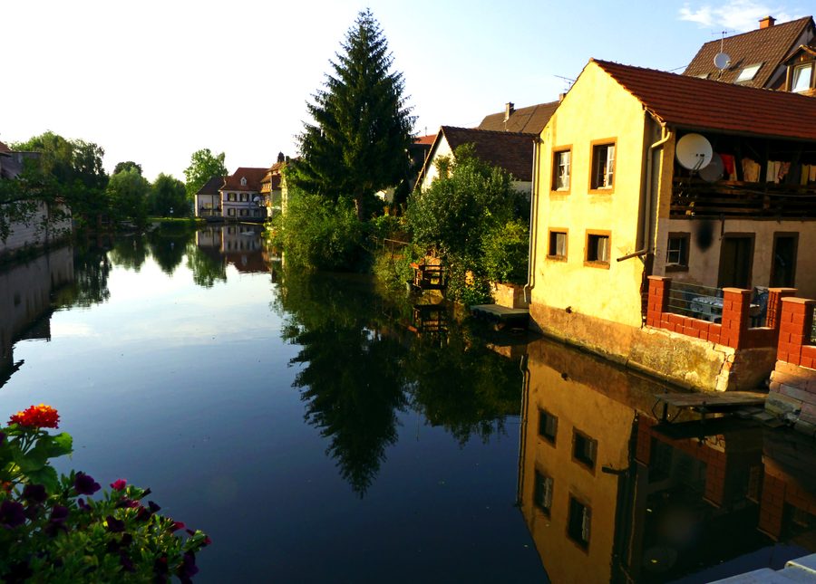 Die Elz bei Kenzingen