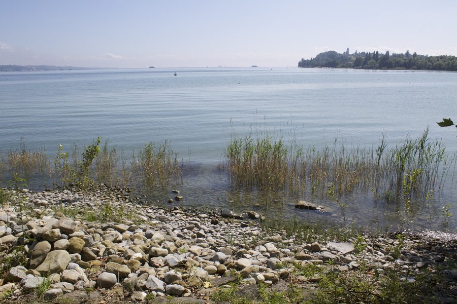 Insel Mainau im Bodensee bei Konstanz