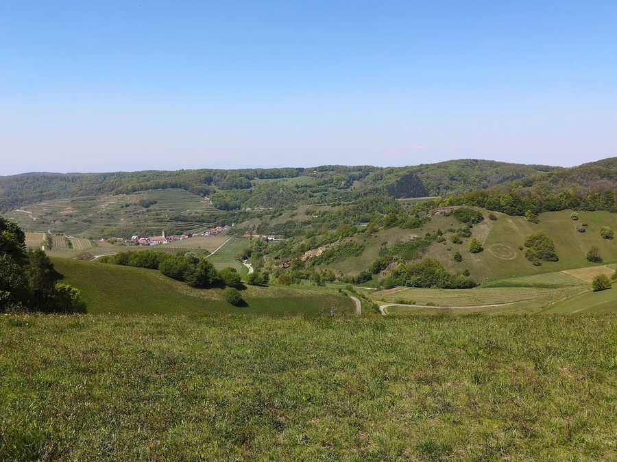 Blick von der Degenmatt auf das Winzerdorf Schelingen mit Weinterrassen im Kaiserstuhl