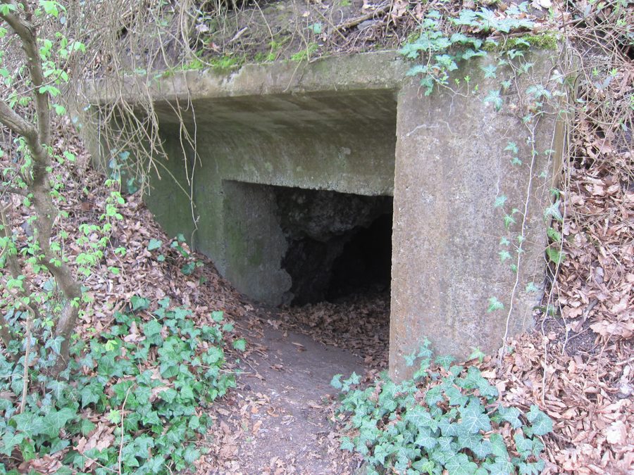 Westwall-Bunker am Limberg bei Sasbach am Kaiserstuhl