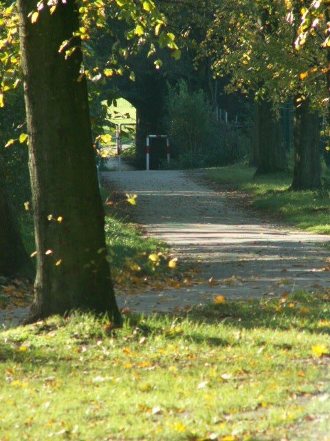 Wald-Feld-Herbst