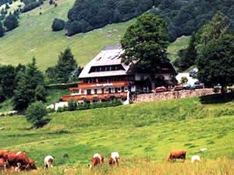 Berge im Schwarzwald bis 1000 Meter Höhe