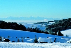Wintersport-Informationen aus Herrischried