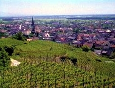 Liliental im Kaiserstuhl