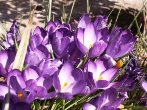 Ostern im Feriendorf Dittishausen