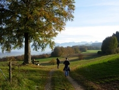 Nord-Schwarzwald