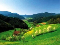 Südschwarzwald-Landschaft