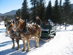 Kutsch- und Pferde-Schlittenfahrten und Hornschlittenrennen im Schwarzwald