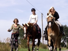 Reiten im Schwarzwald