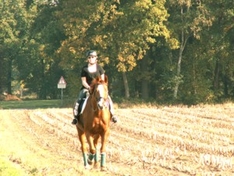 Reiterferien Schwarzwald Reiturlaub