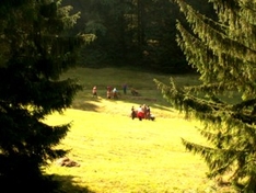 Schluchten und Täler im Schwarzwald