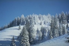 Winterwetter Schwarzwald