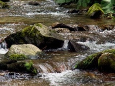 Wandern in der Wutachschlucht