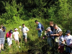 Wandern im Nagoldtal