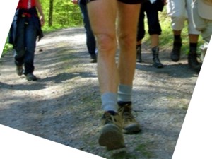 Wandern zum Sommerberg, Eyachtal und Wildbader Kopf.