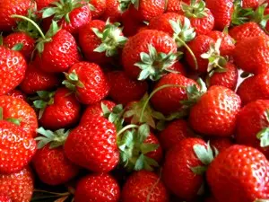 Verwöhnfaktor im Markgräflerland: Erdbeeren