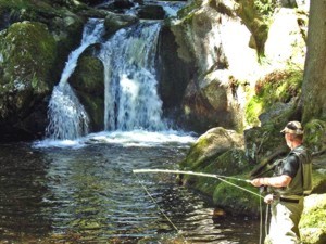 Schwarzwald Region Hotzenwald