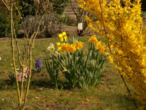 Ostern Blumen