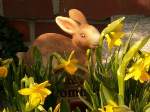 Ostern Schwarzwald