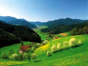 Südschwarzwald-Landschaft
