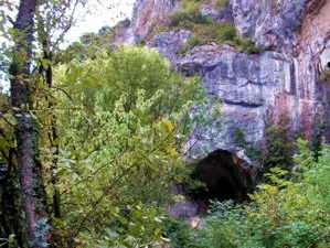Höhle-Stalagtit