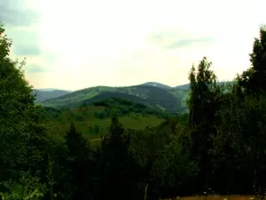Schwarzwald-Panorama