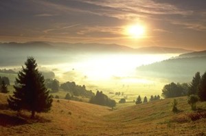 Deutscher Wandertag 2010 in Freiburg