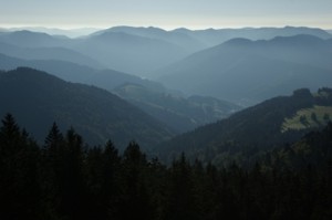 Schwarzwald-Geschichte